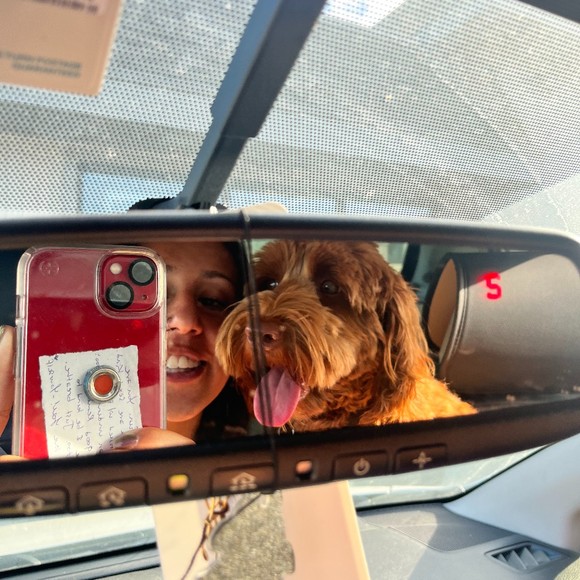 Meet your Posher, Posh - Picture 1 of 1